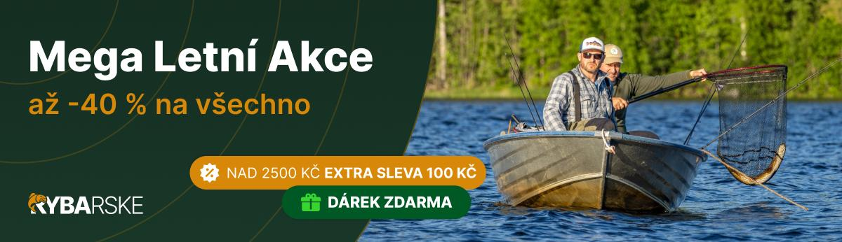 Hlavní akce